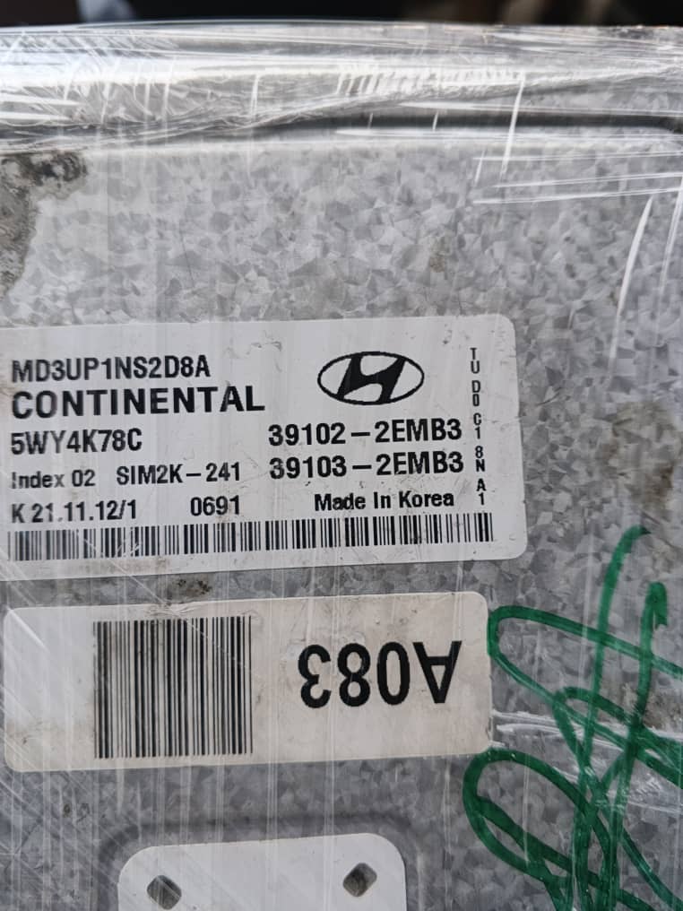 Timing Belt